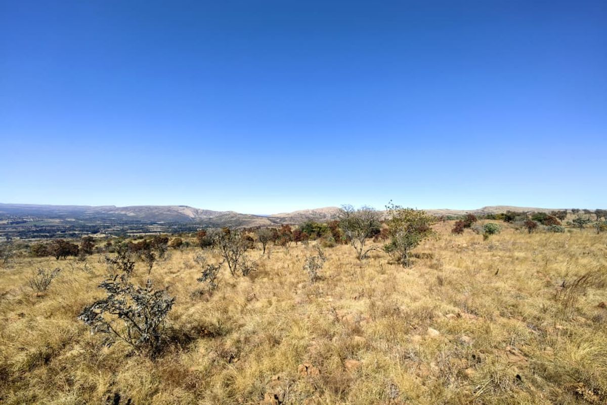 A scenic view of the natural landscape featuring dry grassland and distant mountain ranges under a clear blue sky.