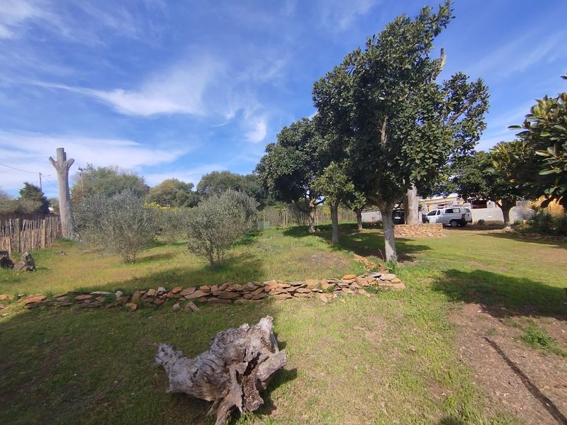 Tuscan Charm on a Spacious 2,222m2 Plot - Photo 3