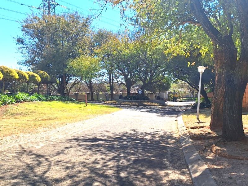 A view of the paved driveway and landscaped grounds leading towards the entrance of the townhouse complex.
