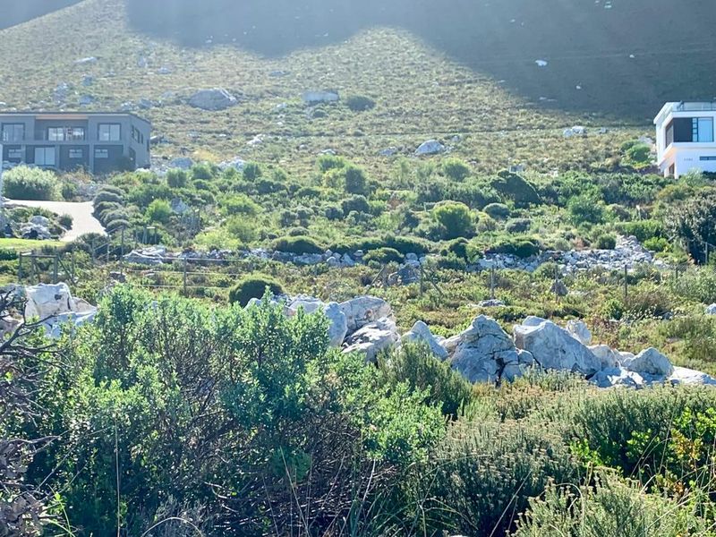 A generous coastal plot in Betty's Bay's Sunny Seas area - Photo 4