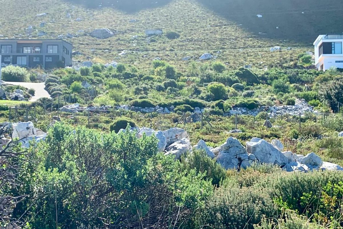 A generous coastal plot in Betty's Bay's Sunny Seas area - Photo 4