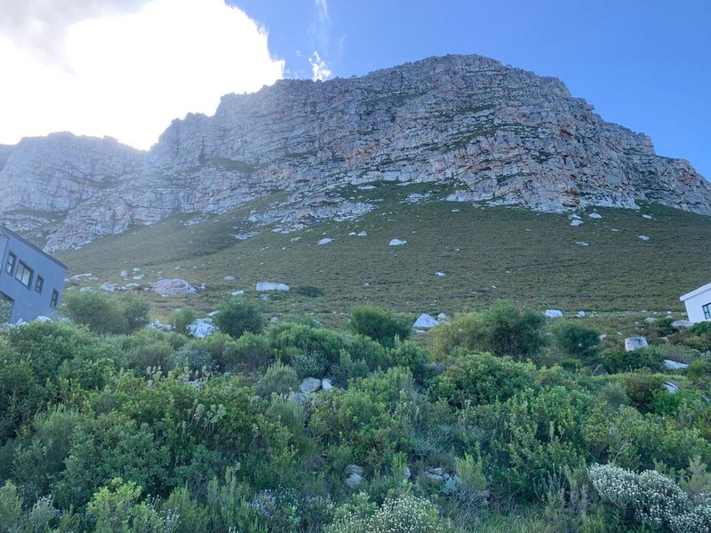 A generous coastal plot in Betty's Bay's Sunny Seas area - Photo 5