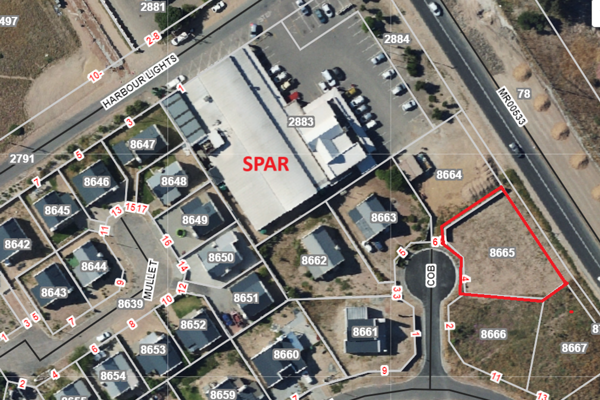 Aerial view showing the cadastral boundaries of the vacant residential plot 8665 within the surrounding neighborhood layout.
