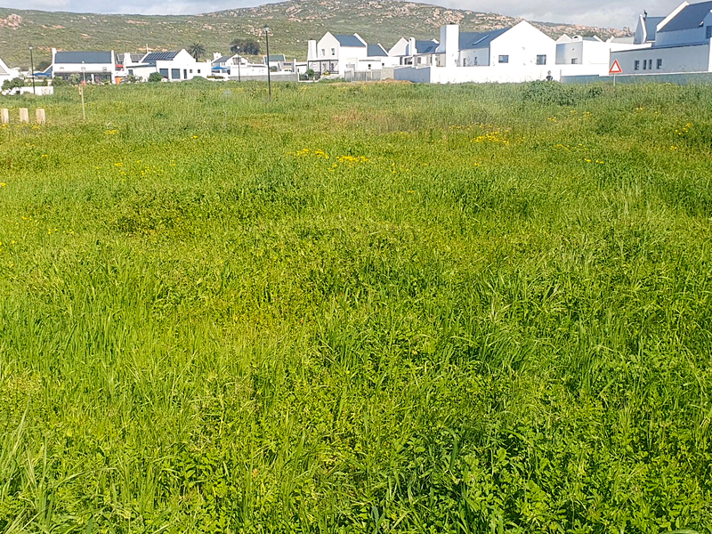 Investment opportunity, vacant land to build for holidays, rental income or your permanent home - Photo 2