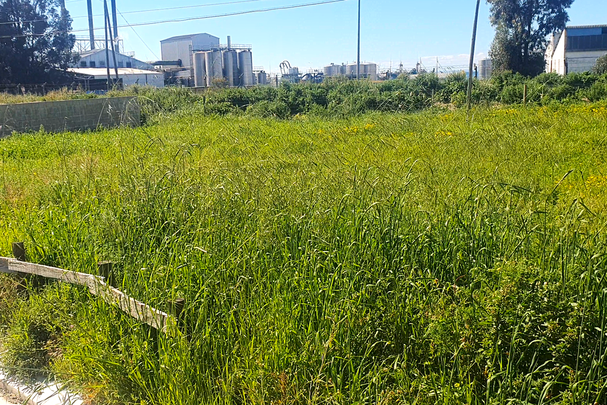 Investment opportunity, vacant land to build for holidays, rental income or your permanent home - Photo 5