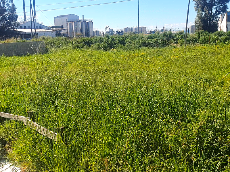 Investment opportunity, vacant land to build for holidays, rental income or your permanent home - Photo 5