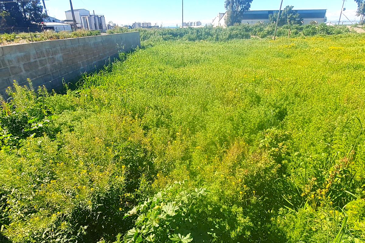 Investment opportunity, vacant land to build for holidays, rental income or your permanent home - Photo 3