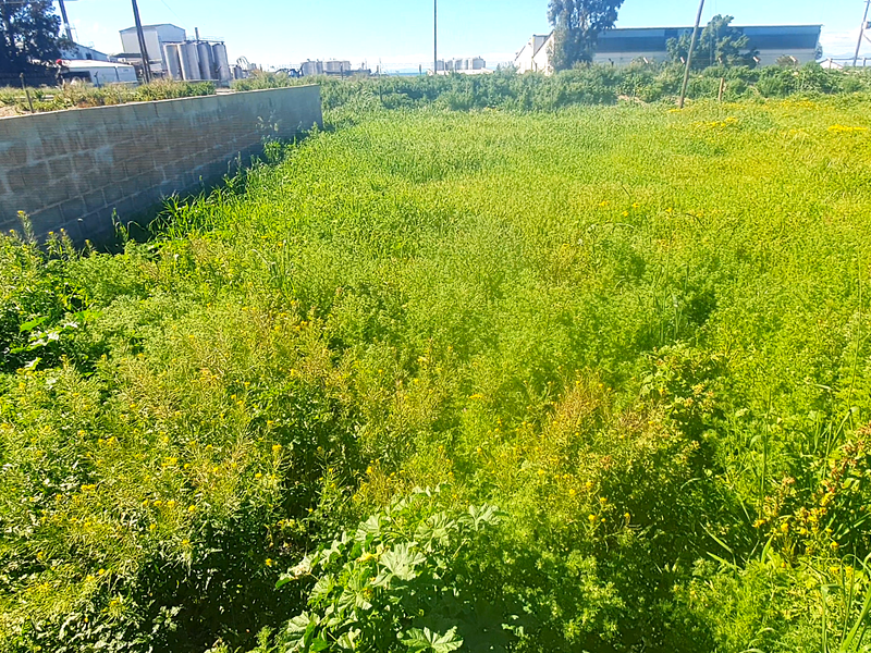 Investment opportunity, vacant land to build for holidays, rental income or your permanent home - Photo 3