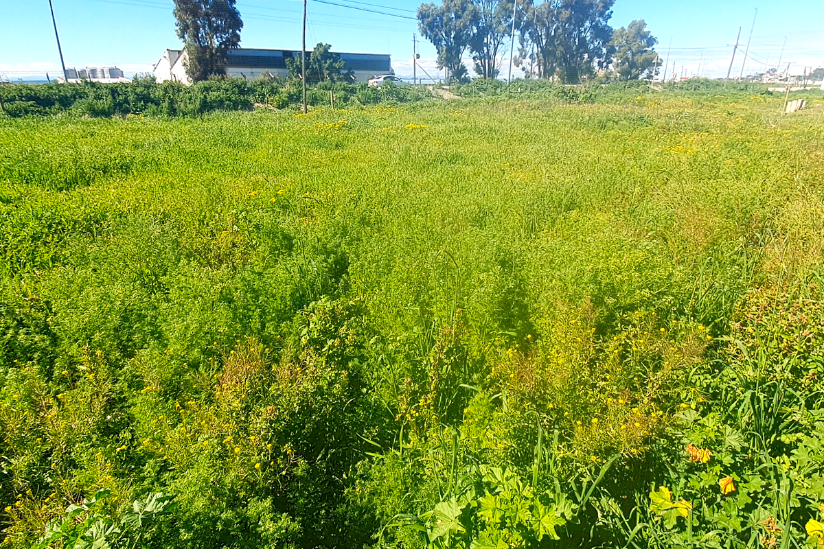 Investment opportunity, vacant land to build for holidays, rental income or your permanent home - Photo 4