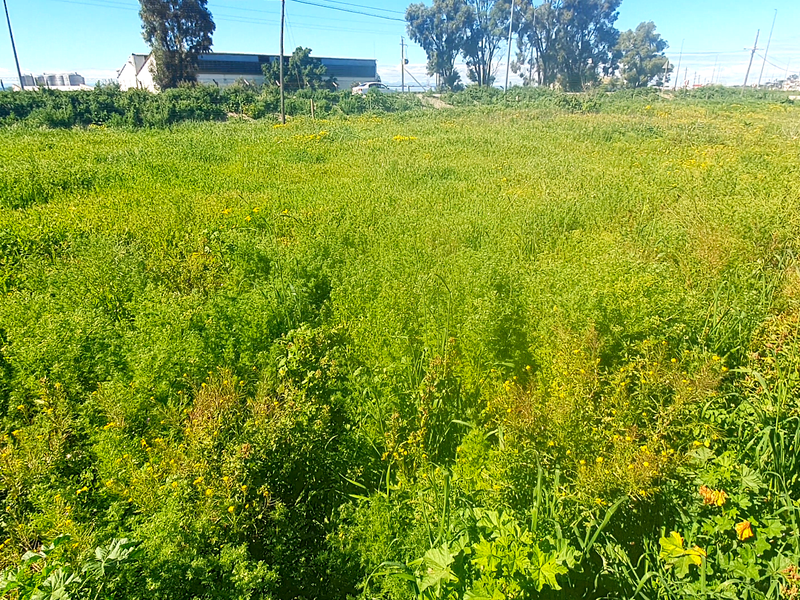 Investment opportunity, vacant land to build for holidays, rental income or your permanent home - Photo 4