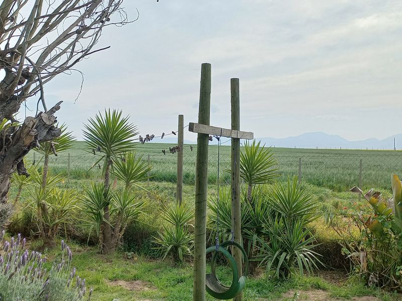 2 Bedroom House in Theronville Albertinia - Photo 2