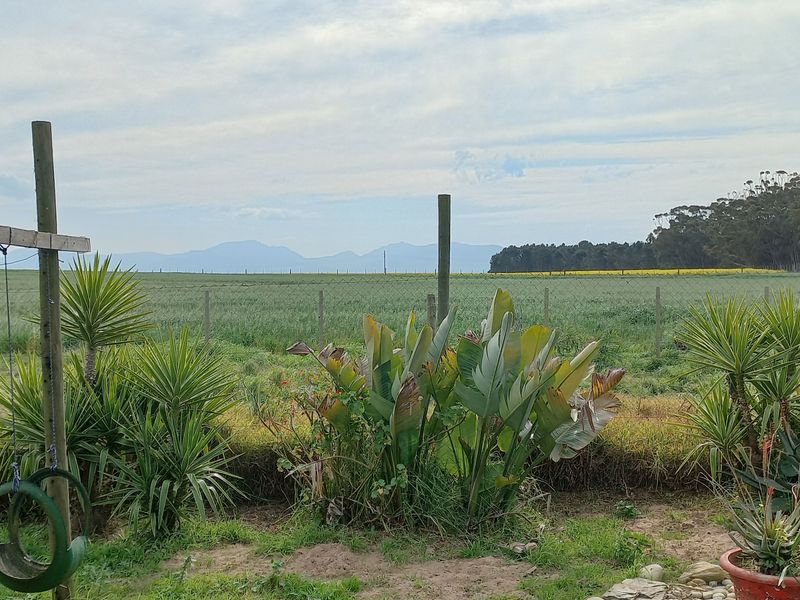 2 Bedroom House in Theronville Albertinia - Photo 3