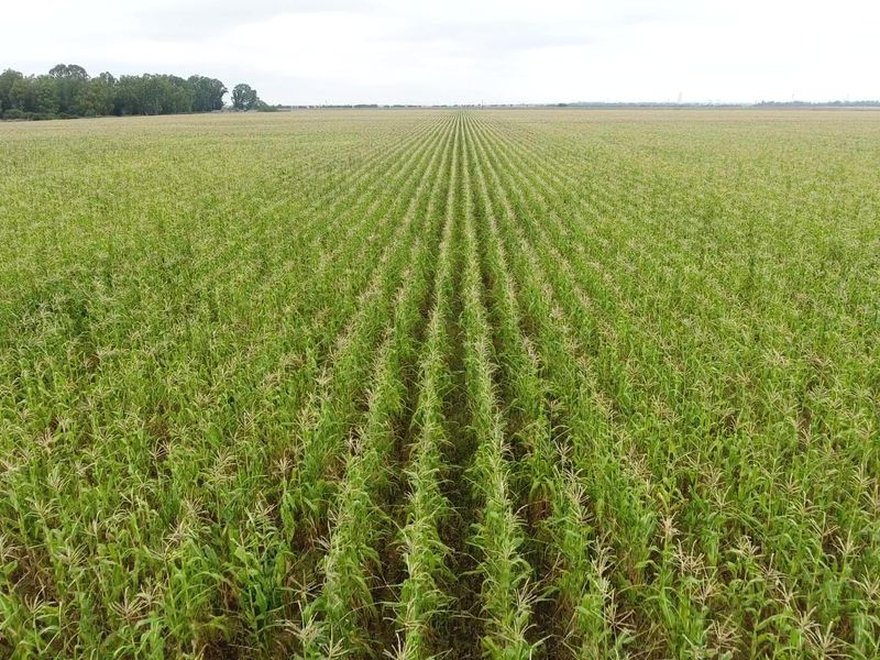 152 Ha Farm For Sale. - Photo 2