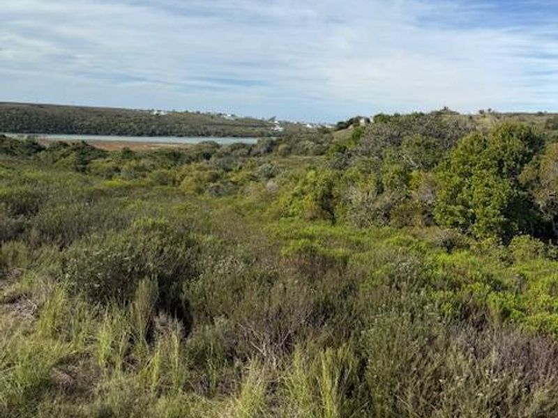 A scenic view of the natural landscape and coastal vegetation on the vacant residential property.