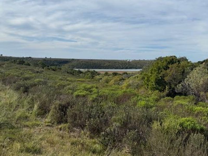 A scenic view of the natural landscape and vegetation on the vacant residential property.