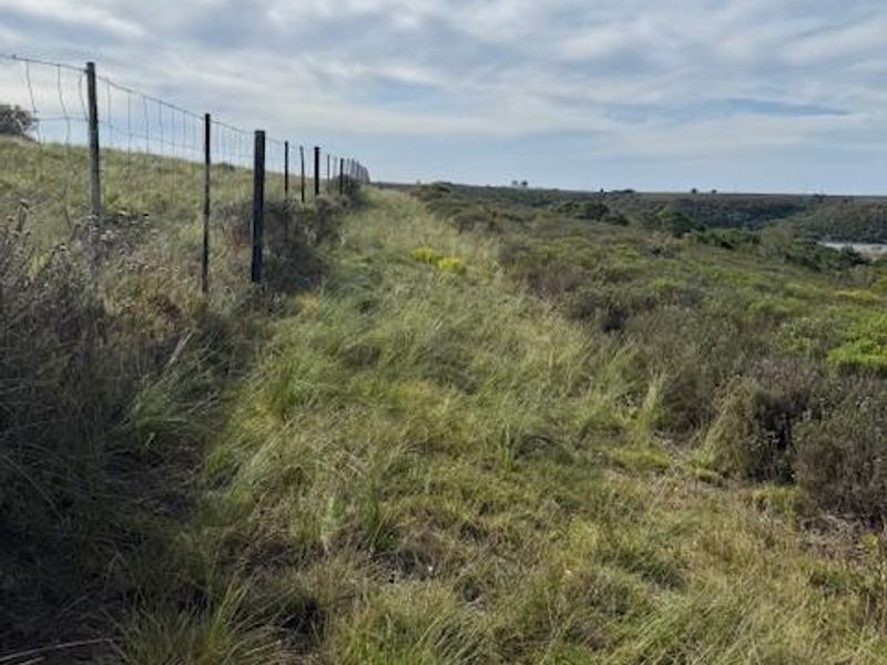 A view of the vacant residential land featuring natural vegetation and existing wire boundary fencing.
