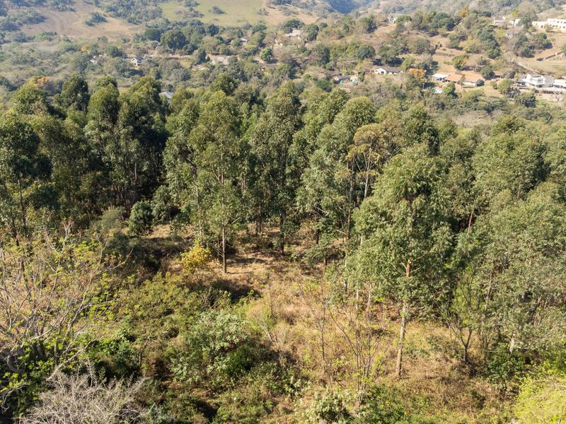 Sweeping Views & Endless Possibilities in Forest Hills - Photo 2