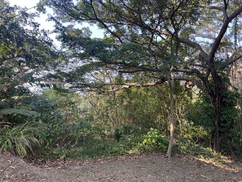 Prime Corner Stand for Sale in Ballito - Photo 3