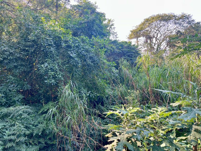 Prime Corner Stand for Sale in Ballito - Photo 2