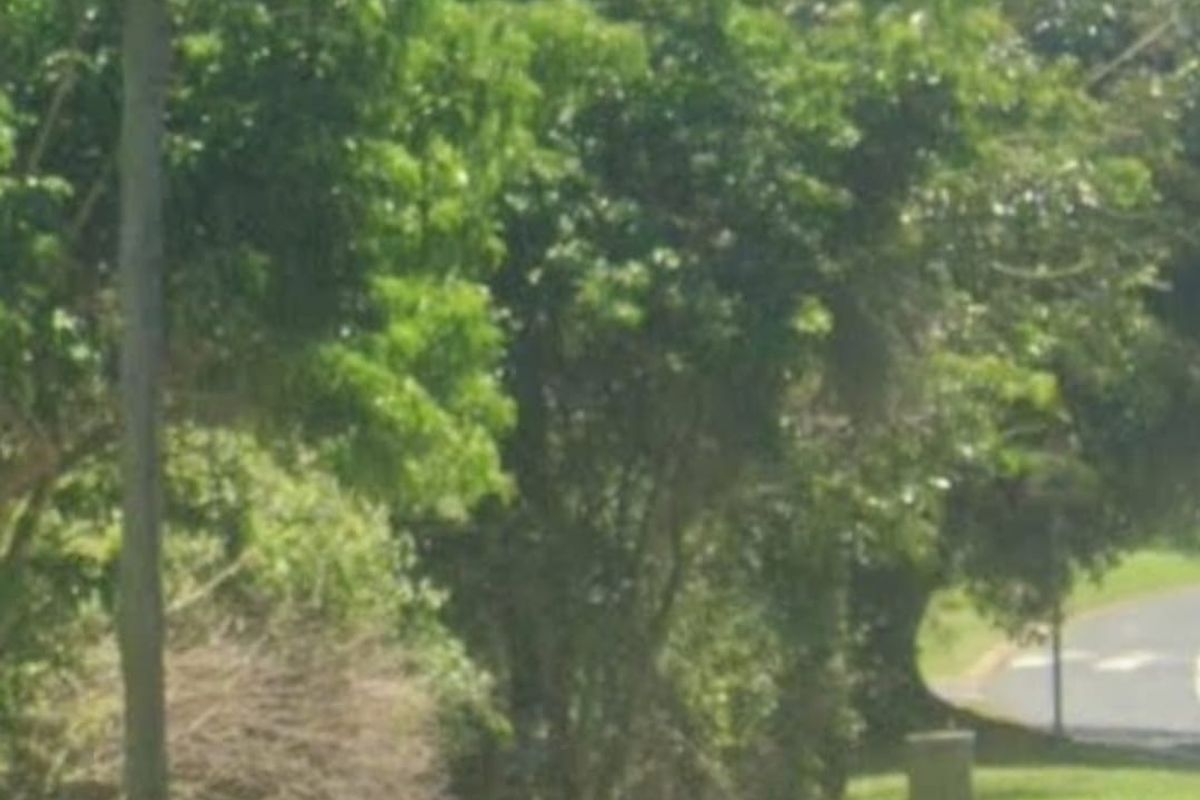 Secure land in the heart of Ballito - Photo 5