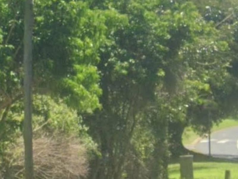 Secure land in the heart of Ballito - Photo 5