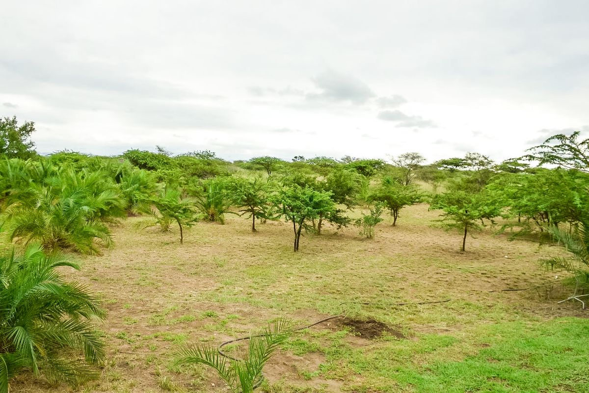 Farm For Sale In Eshowe - Photo 4