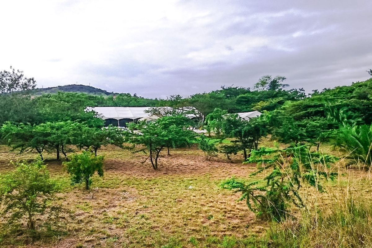 Farm For Sale In Eshowe - Photo 3