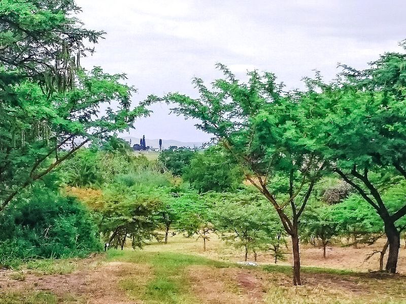 Farm For Sale In Eshowe - Photo 5