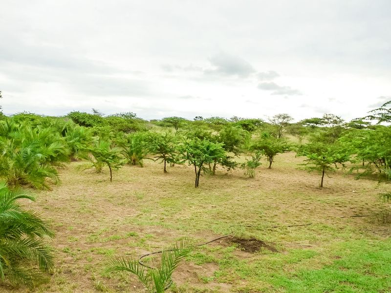 Farm For Sale In Eshowe - Photo 4