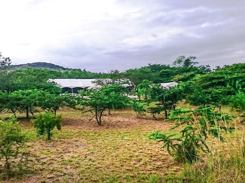 Farm For Sale In Eshowe - Photo 3