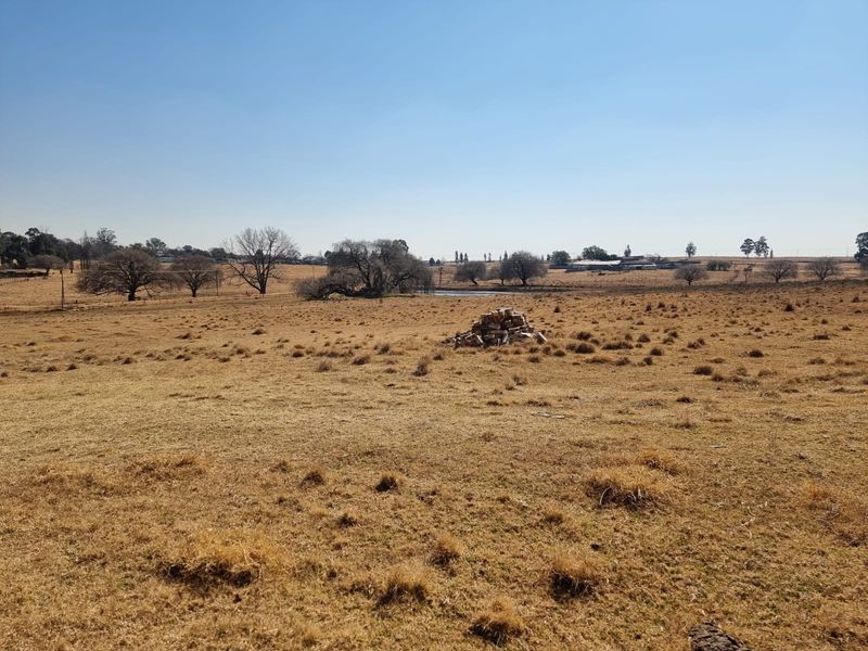 A wide-angle view of an expansive, dry rural landscape with scattered trees and open fields under a clear blue sky.