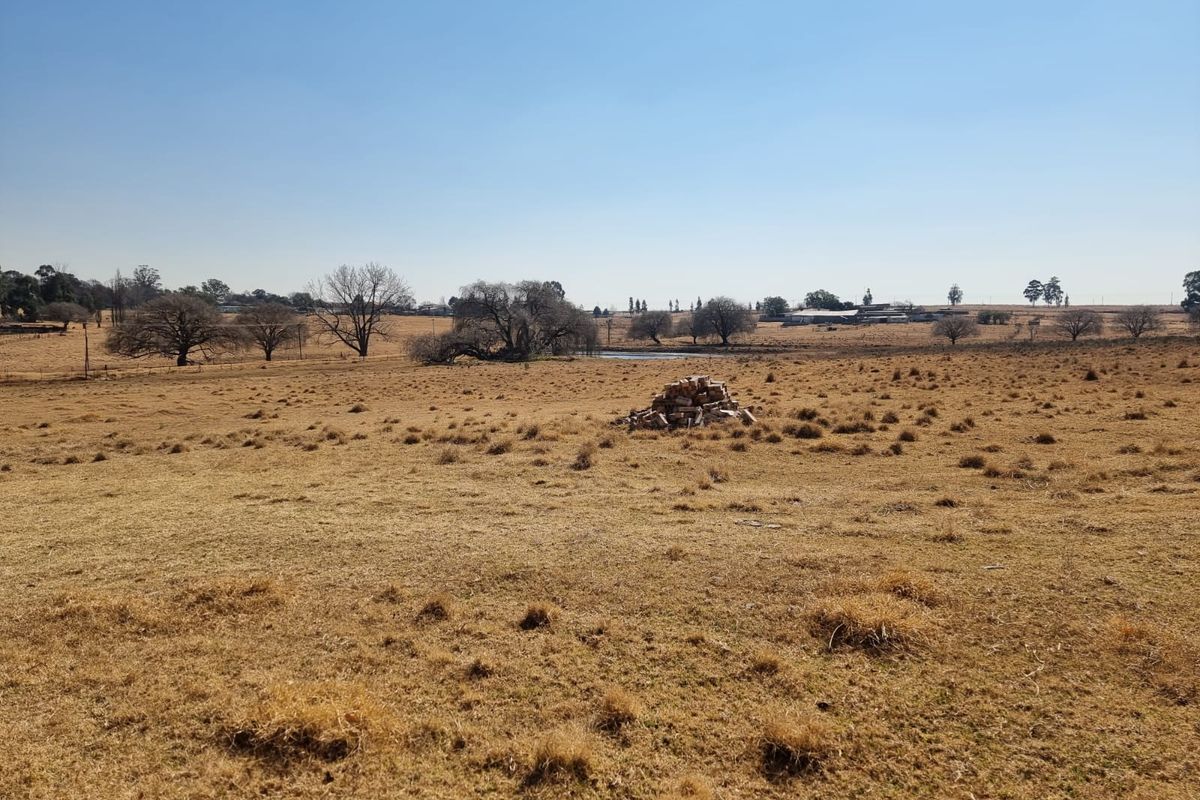 A wide-angle view of an expansive, dry rural landscape with scattered trees and open fields under a clear blue sky.