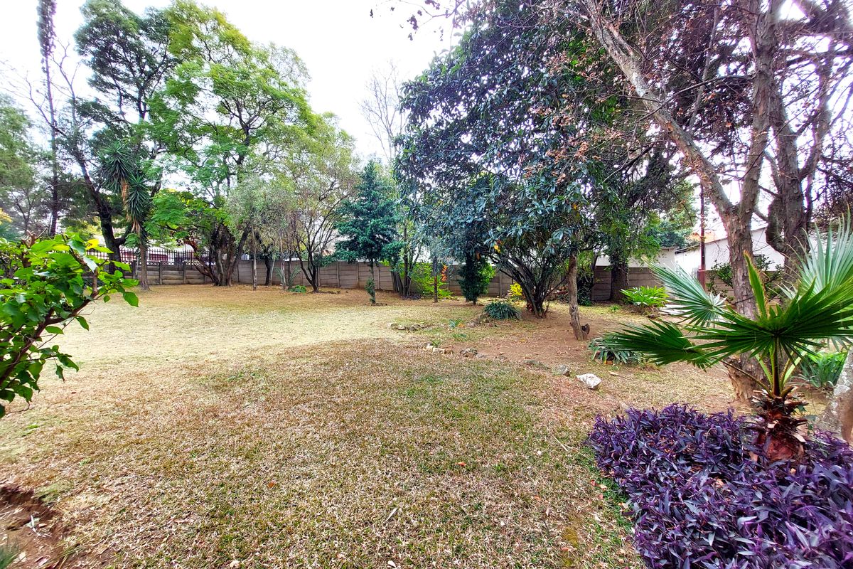 Adjacent stands with zoning approvals in place - Photo 4