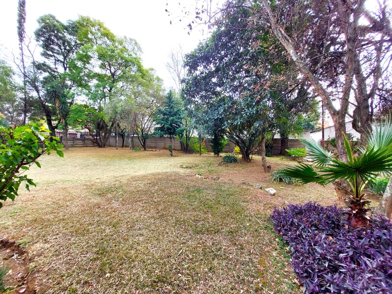 Adjacent stands with zoning approvals in place - Photo 4