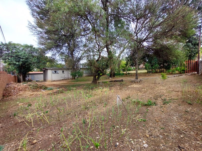 Adjacent stands with zoning approvals in place - Photo 9