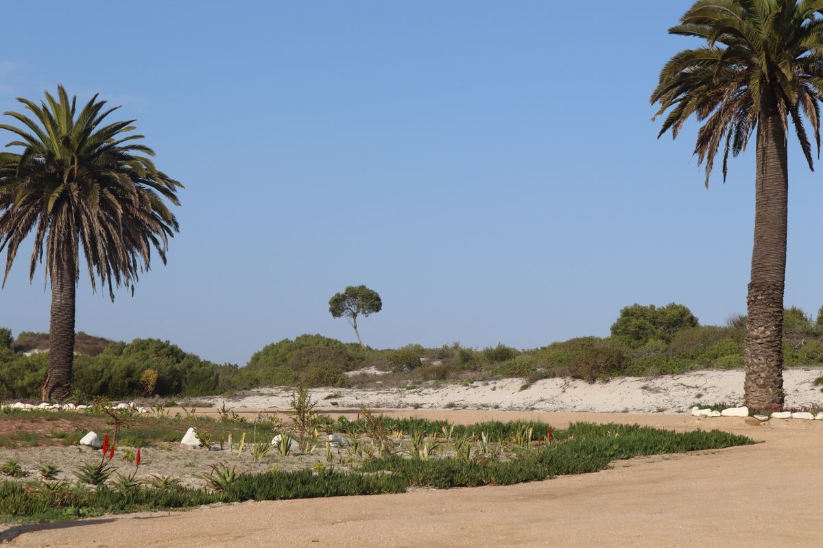 Vacant land for Sale in Shelley Point - Photo 5