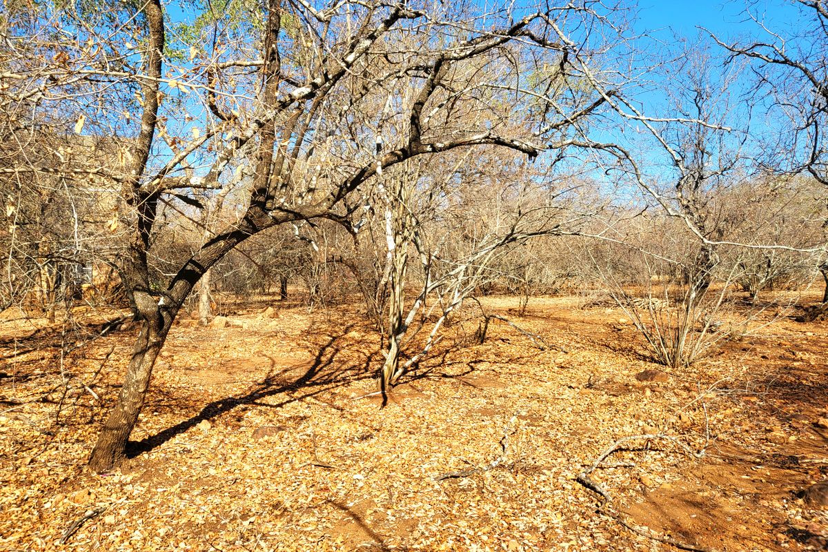 Vacant Land with Parklands - Photo 5