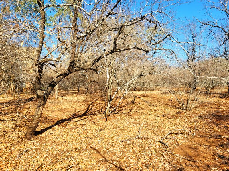 Vacant Land with Parklands - Photo 5