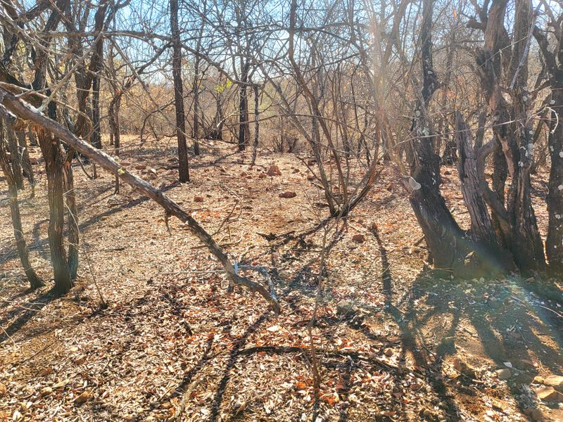 Vacant Land with Parklands - Photo 8