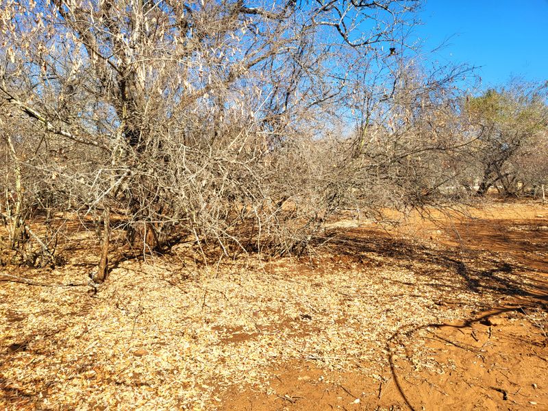 Vacant Land with Parklands - Photo 7