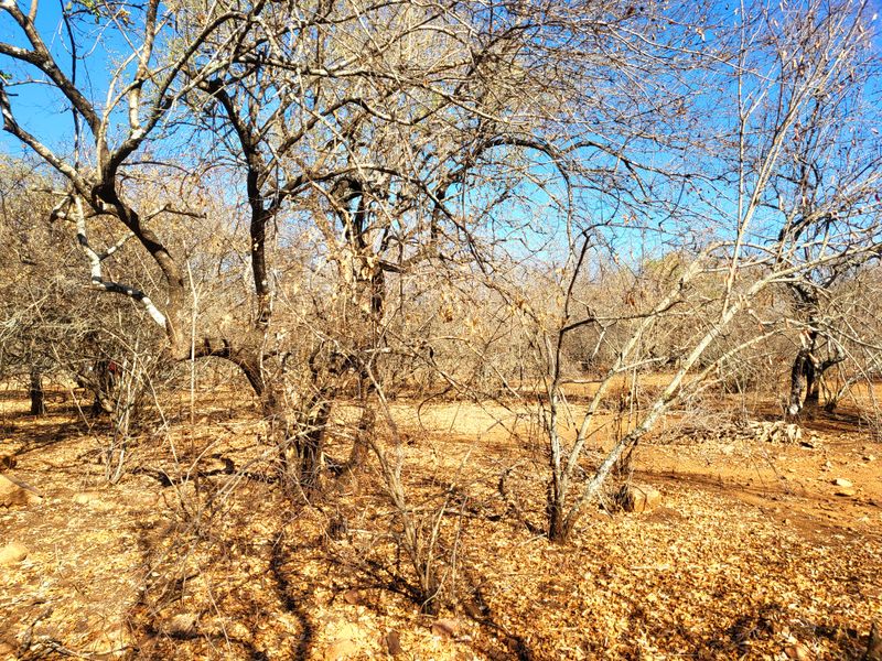 Vacant Land with Parklands - Photo 6