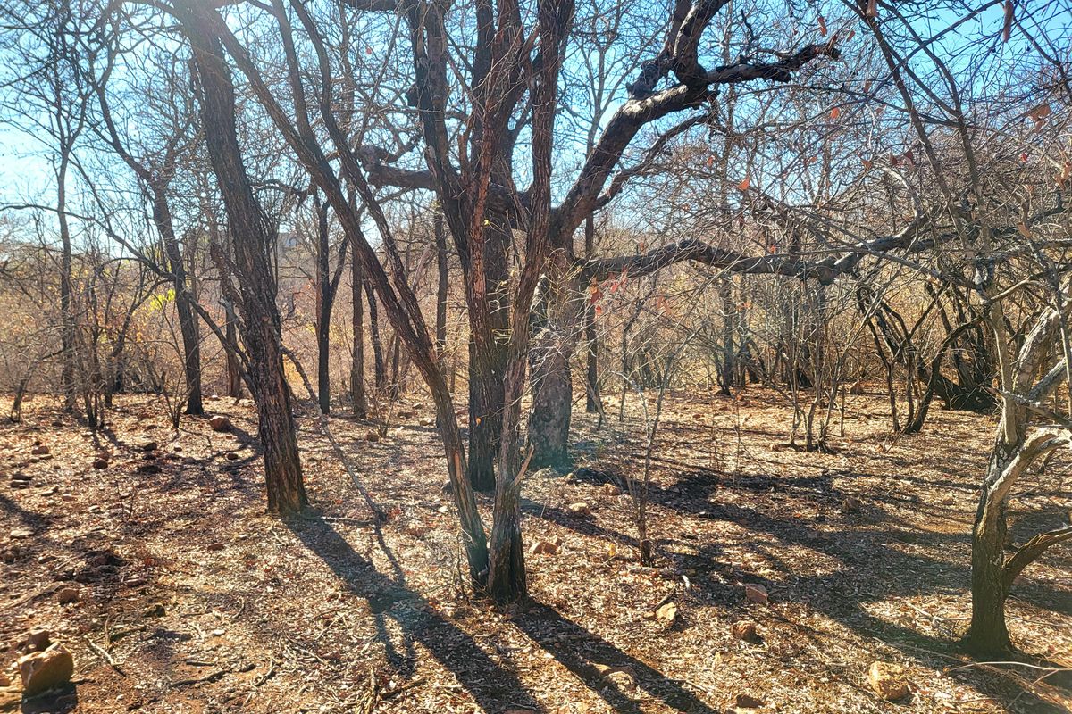 Vacant Land with Parklands - Photo 2