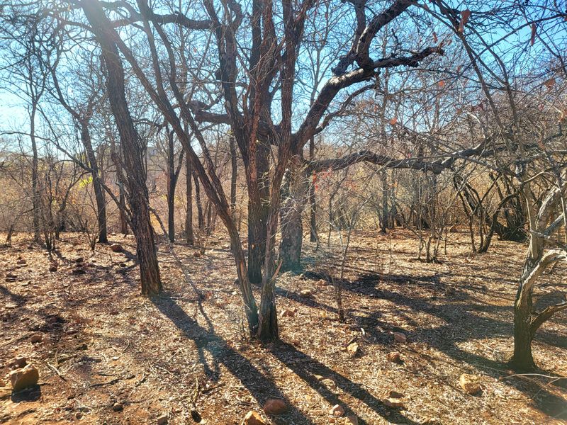 Vacant Land with Parklands - Photo 2