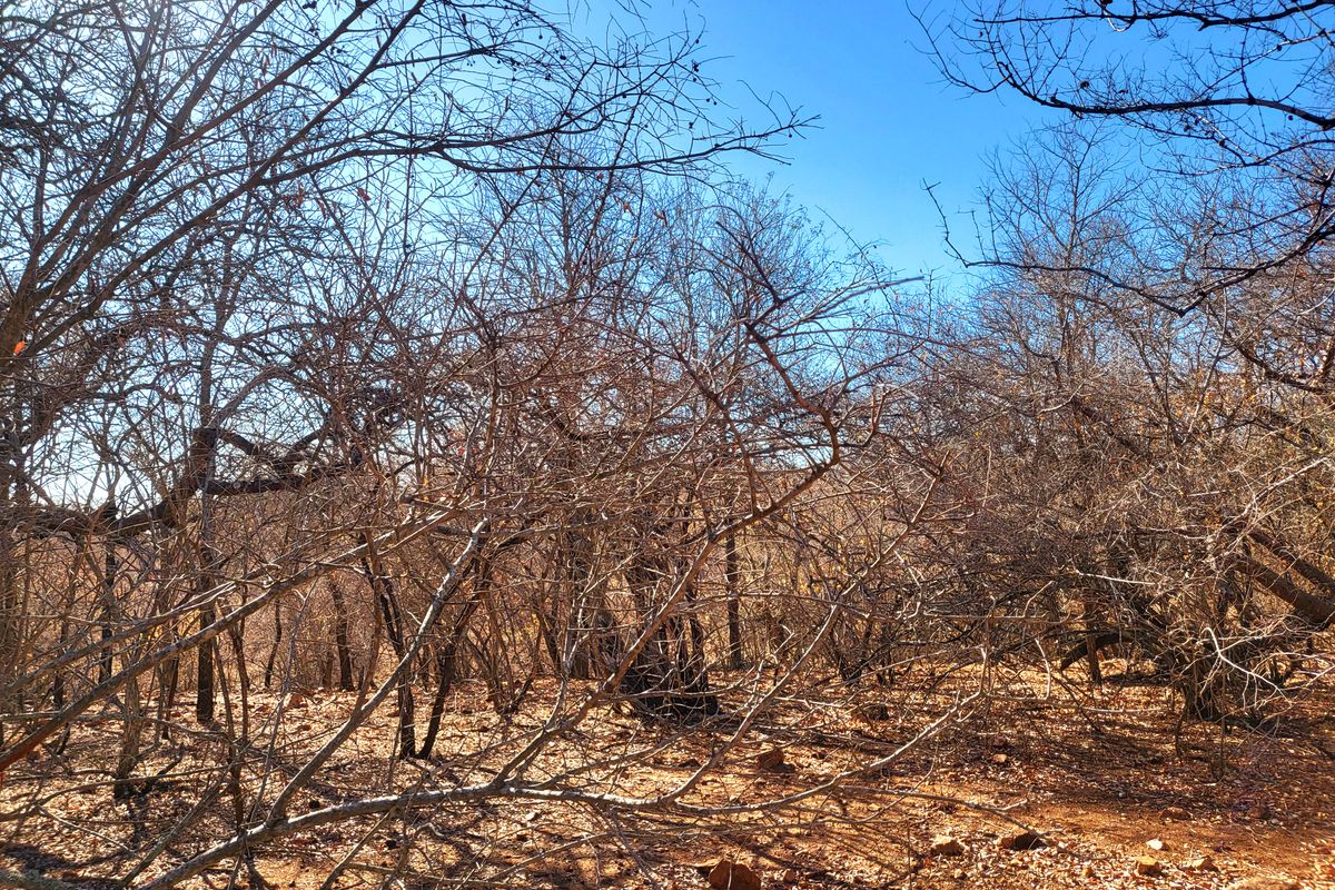 Vacant Land with Parklands - Photo 4