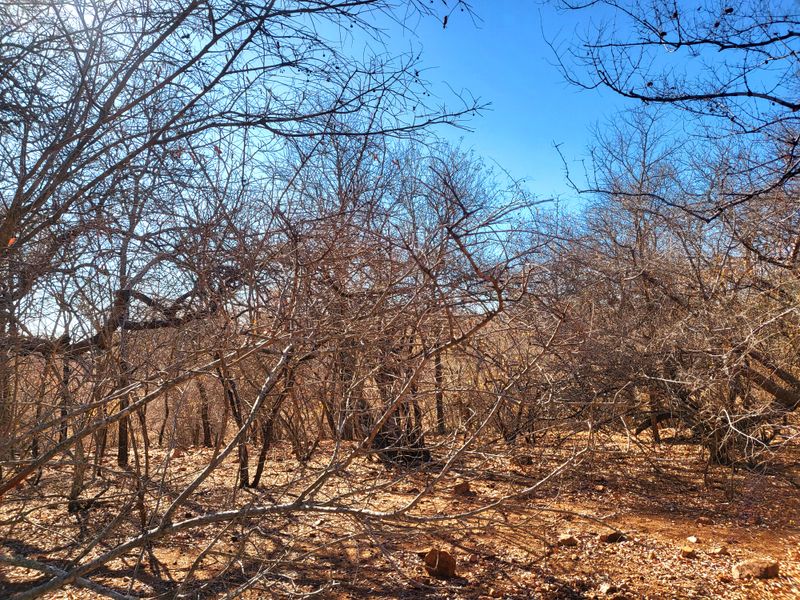 Vacant Land with Parklands - Photo 4