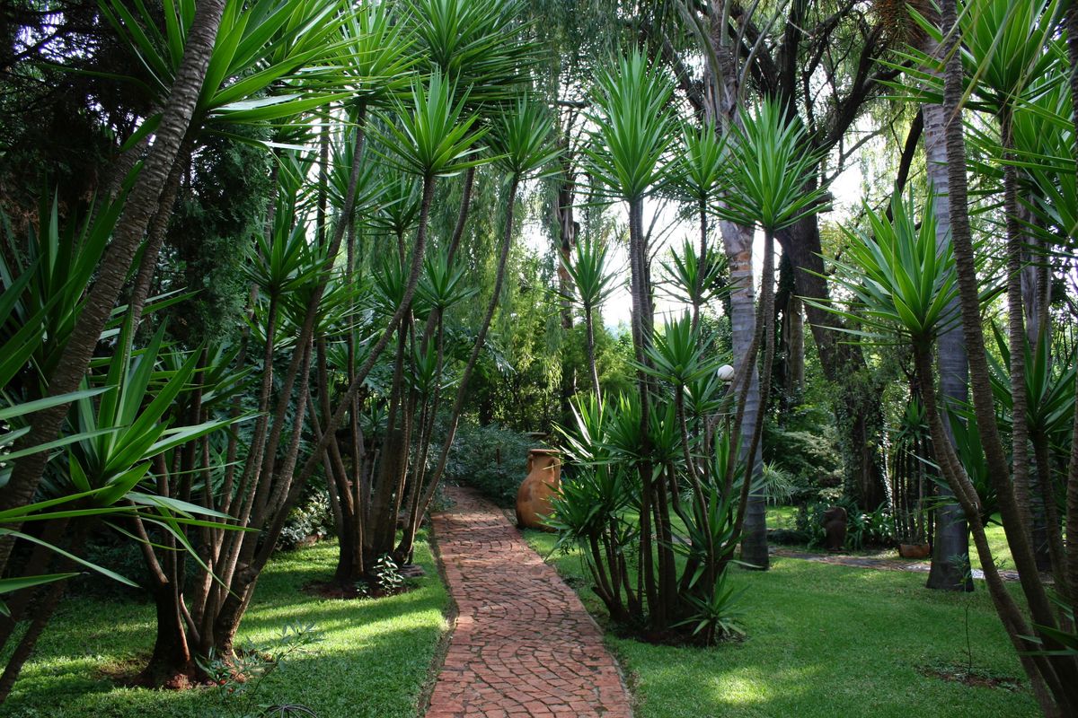 Small holding life style at its best - Photo 4