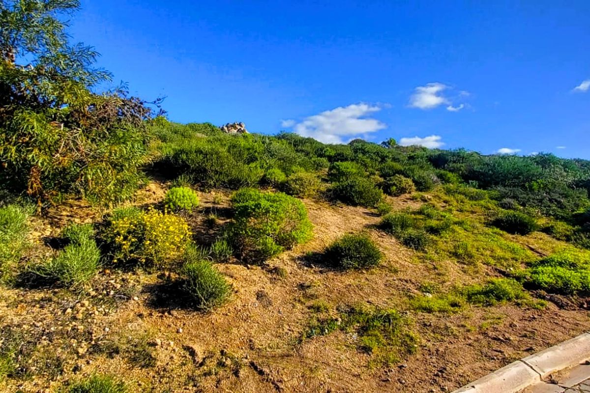 You are invited to explore this West Coast plot with a view on the Atlantic Ocean. - Photo 4