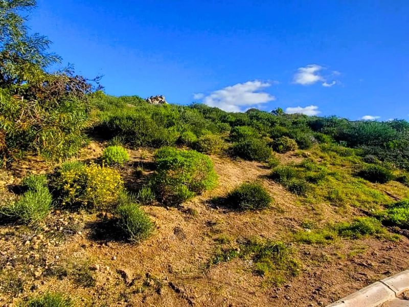 You are invited to explore this West Coast plot with a view on the Atlantic Ocean. - Photo 4