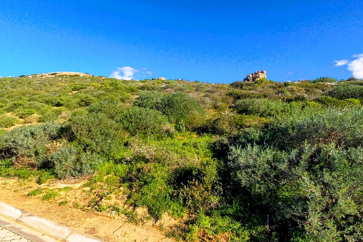 You are invited to explore this West Coast plot with a view on the Atlantic Ocean. - Photo 2