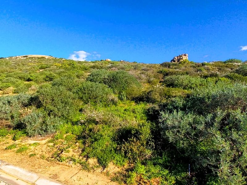 You are invited to explore this West Coast plot with a view on the Atlantic Ocean. - Photo 2